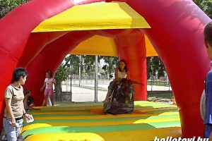 taxisnap_2006 076.JPG